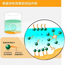 潔凈肌膚第一步 科學潔面與潔面產品選擇全攻略